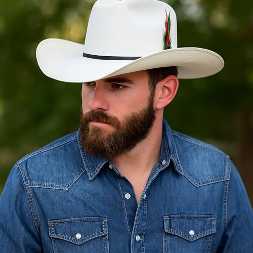 Western Stakes Shantu Cowboy Hat for Men – Handmade in Mexico Rodeo Concert Sombrero